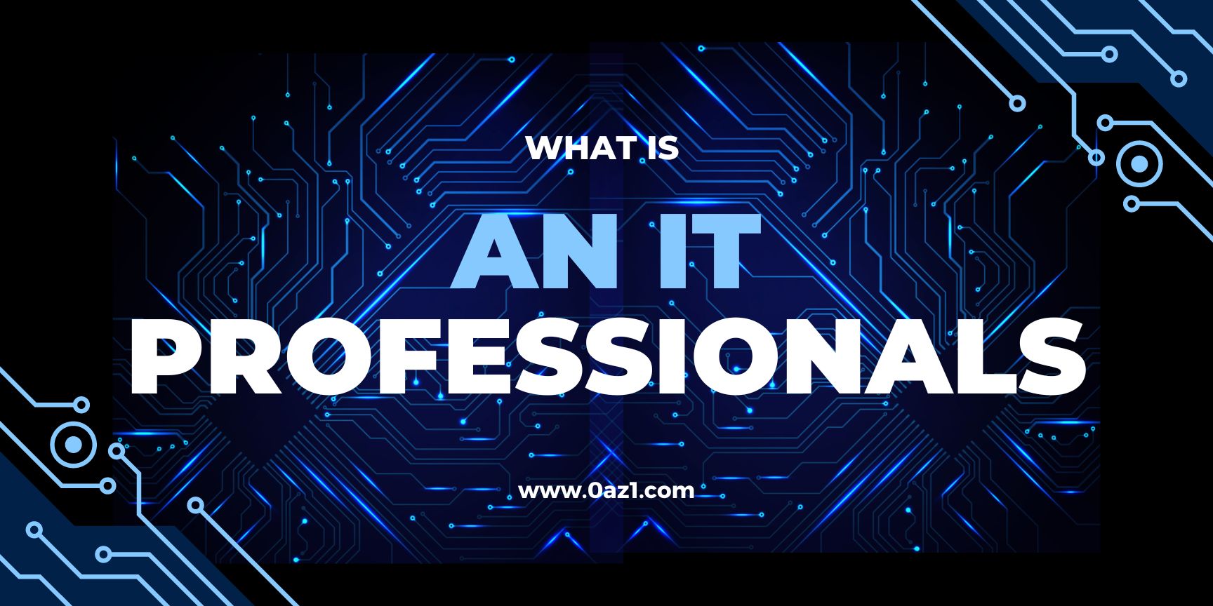 What Is An It Professionals
